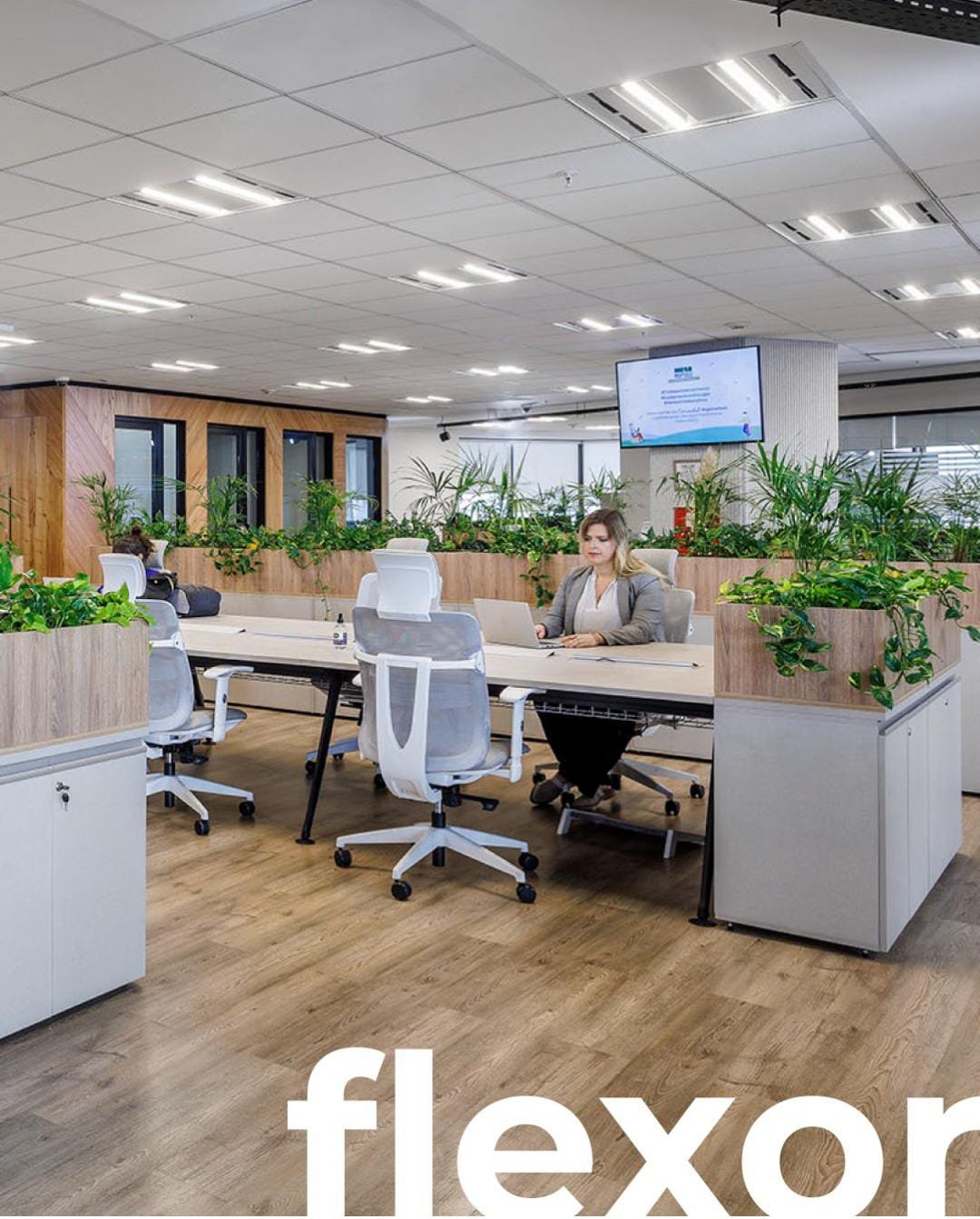 sillas ergonómicas